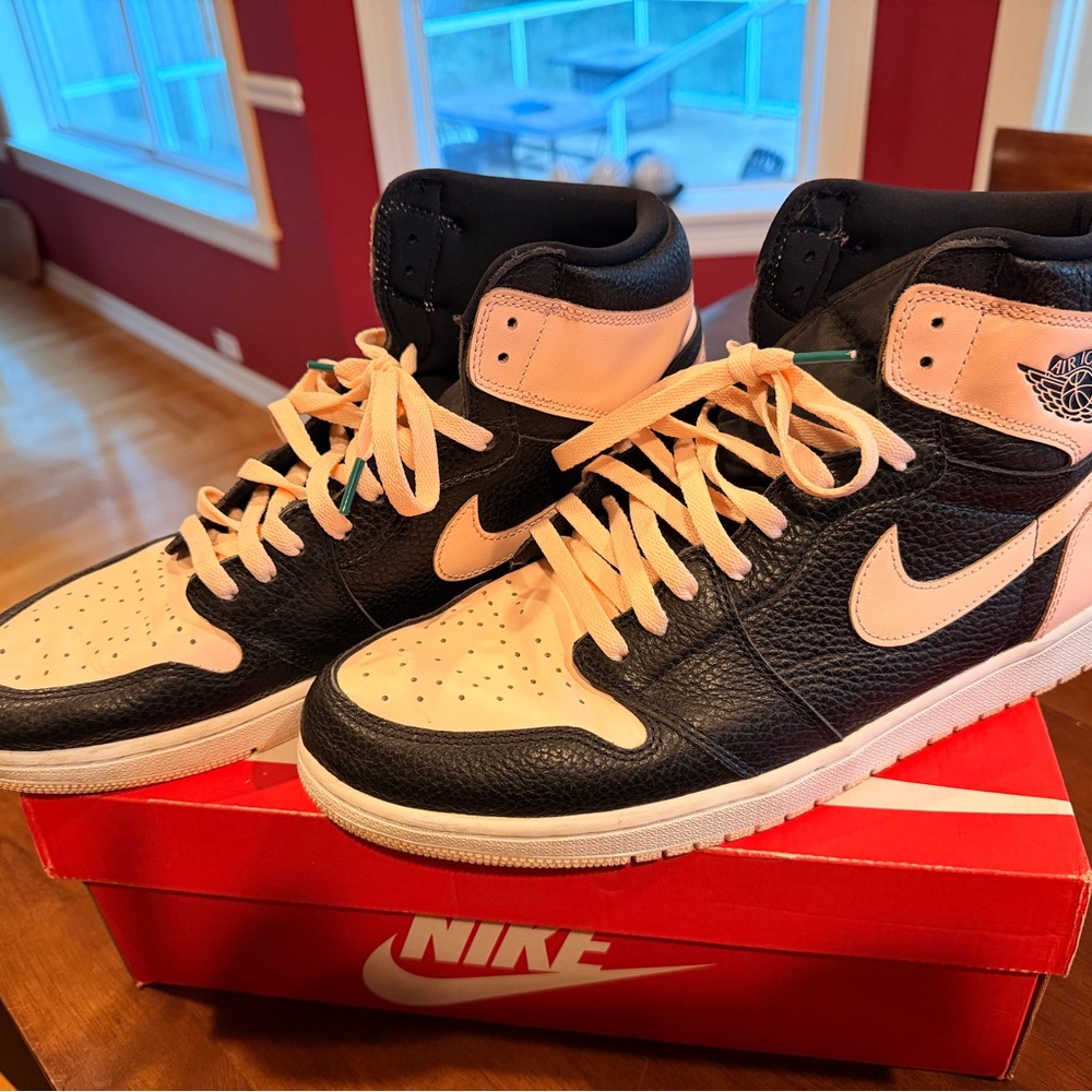 Nike Dunk Retro Black and Pink